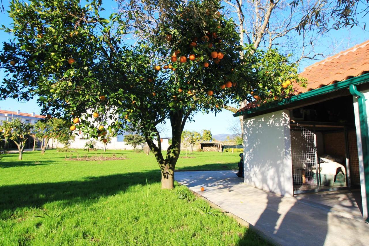 Casa Dos Ouricos Villa Ponte de Lima Exteriör bild